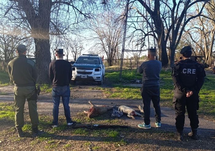 los cuerpos sin vida de un carpincho y un yacaré - 2