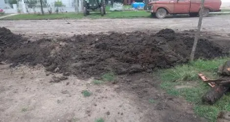 Reporte ciudadano
