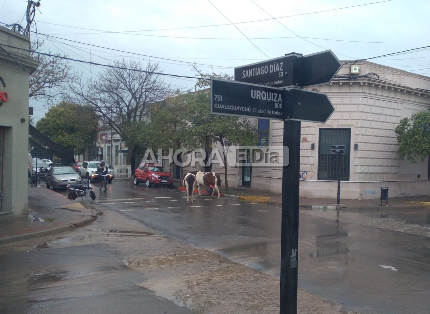 caballos sueltos - 2