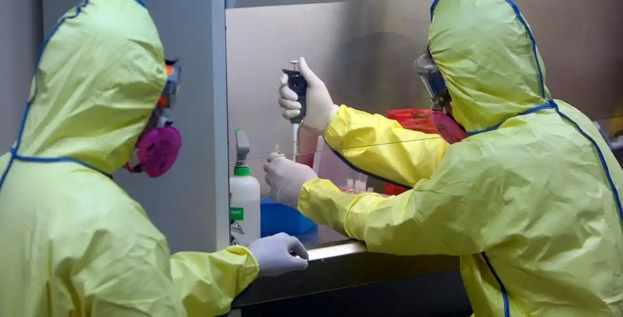 La OMS cree que el contagio de la viruela del mono en humanos se puede frenar