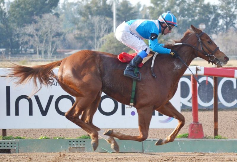Jueves 28: Actividad Hipódromo de La Plata