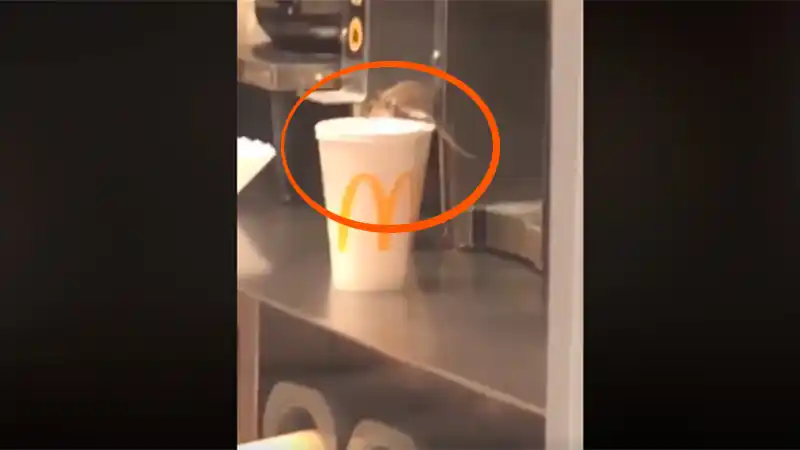 Clausuran un McDonalds luego de que filmaron a un ratón sobre un vaso