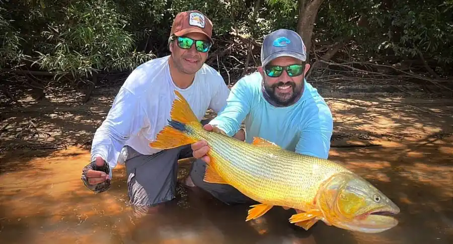 Explotó la pesca en noviembre