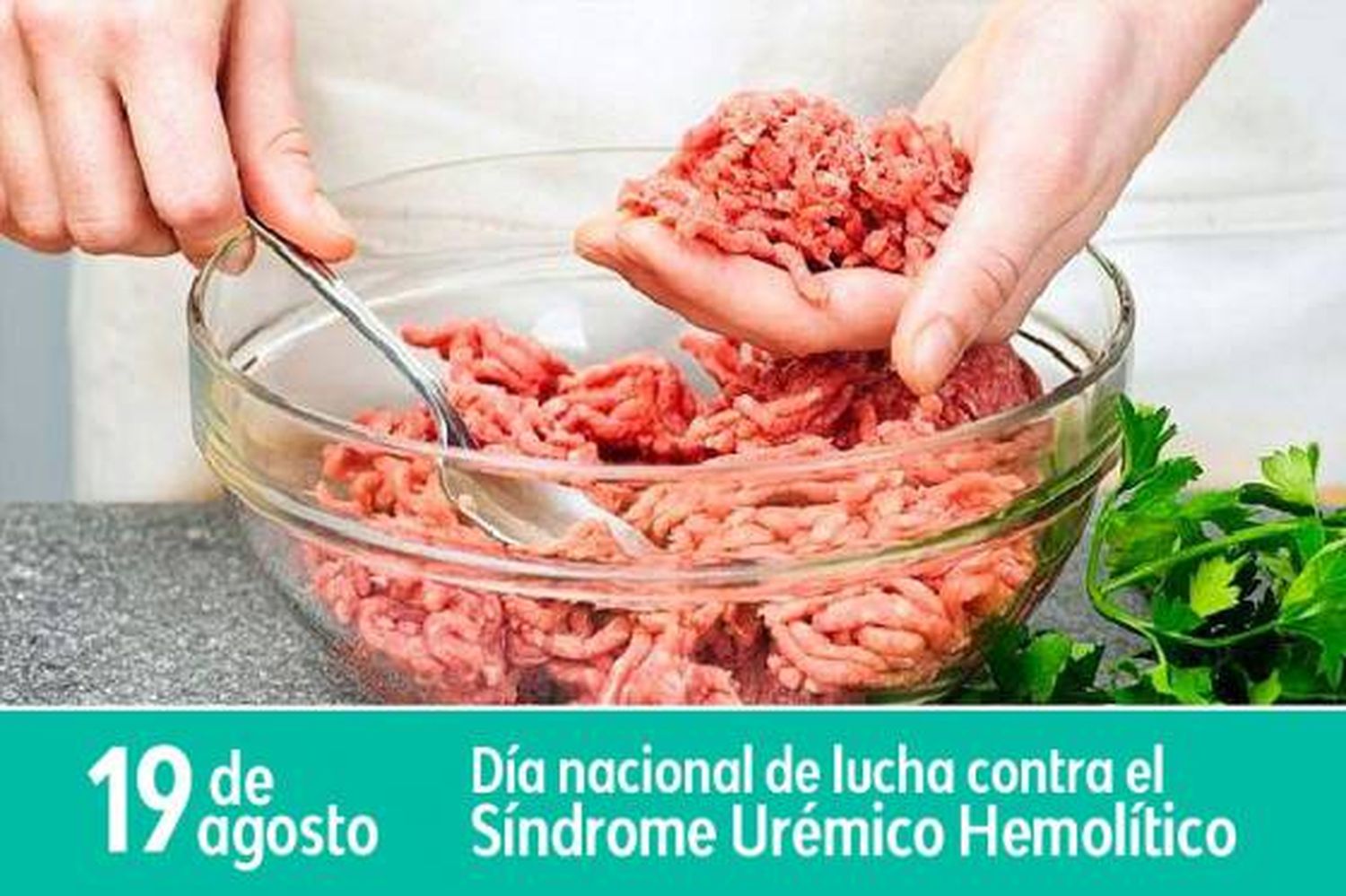 Campaña de prevención del Síndrome Urémico Hemolítico