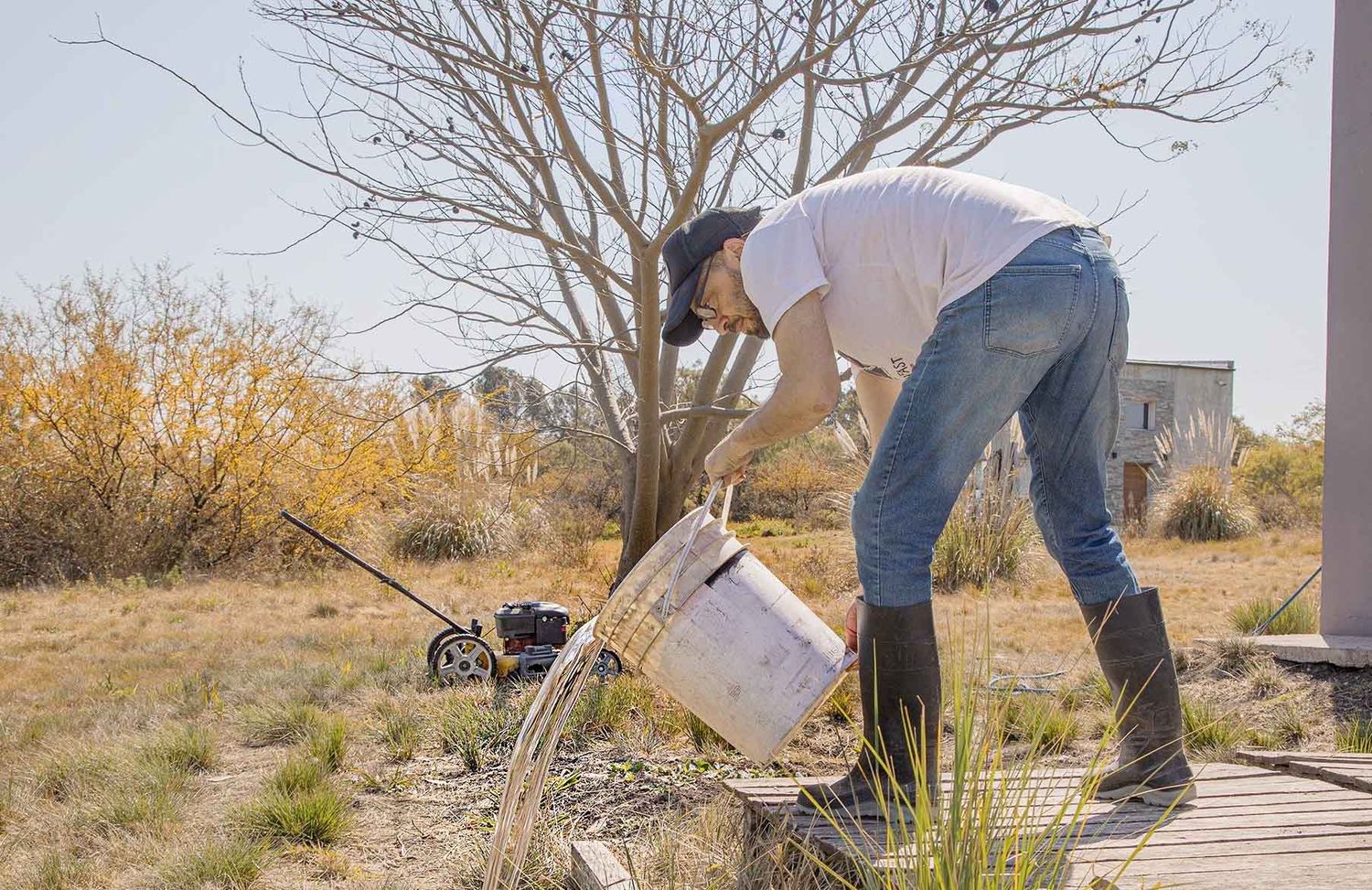 Salud recuerda las medidas de prevención contra el dengue