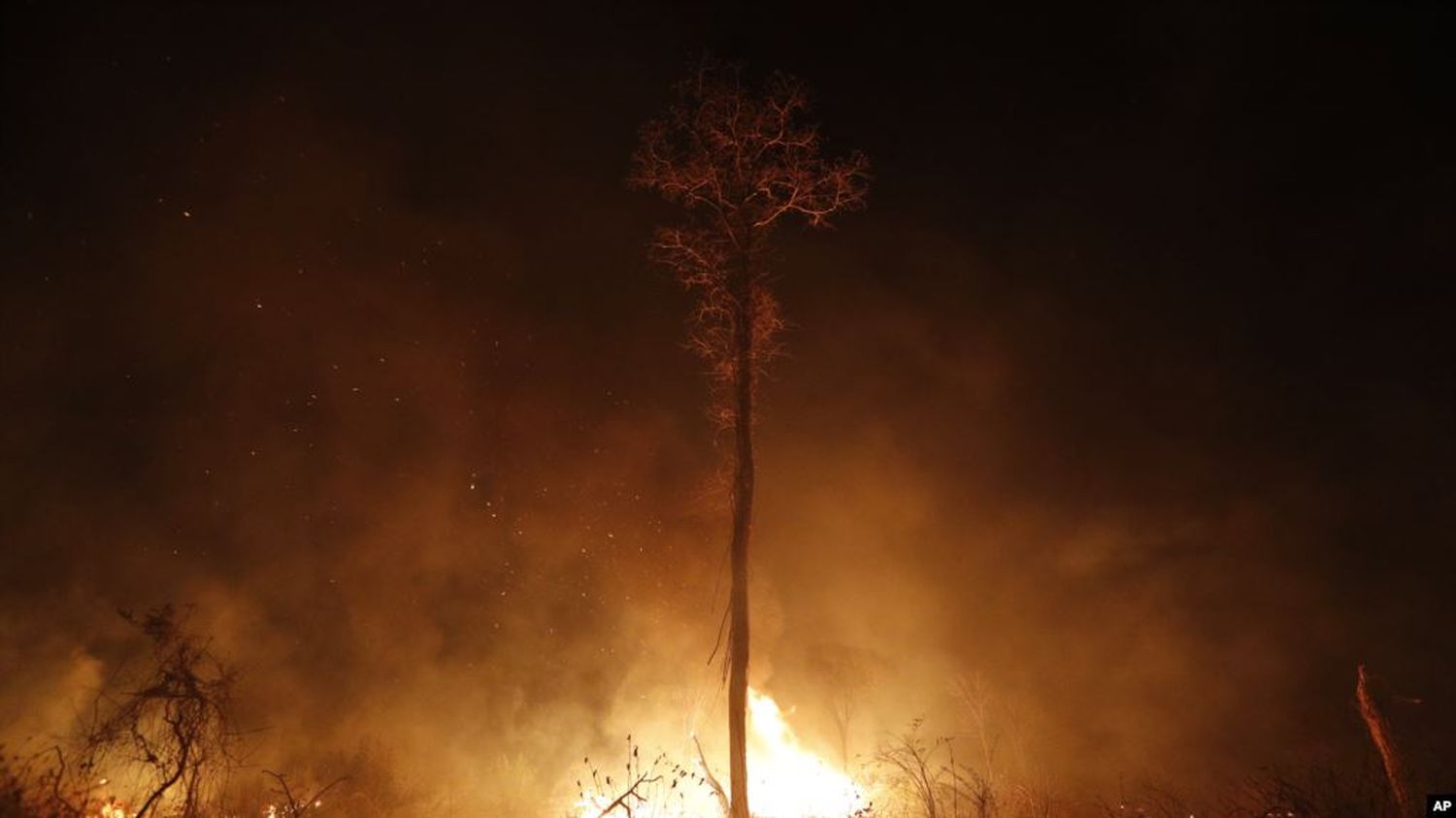 Los incendios en el Amazonas plantean riesgos para la salud de los niños indica la OMS