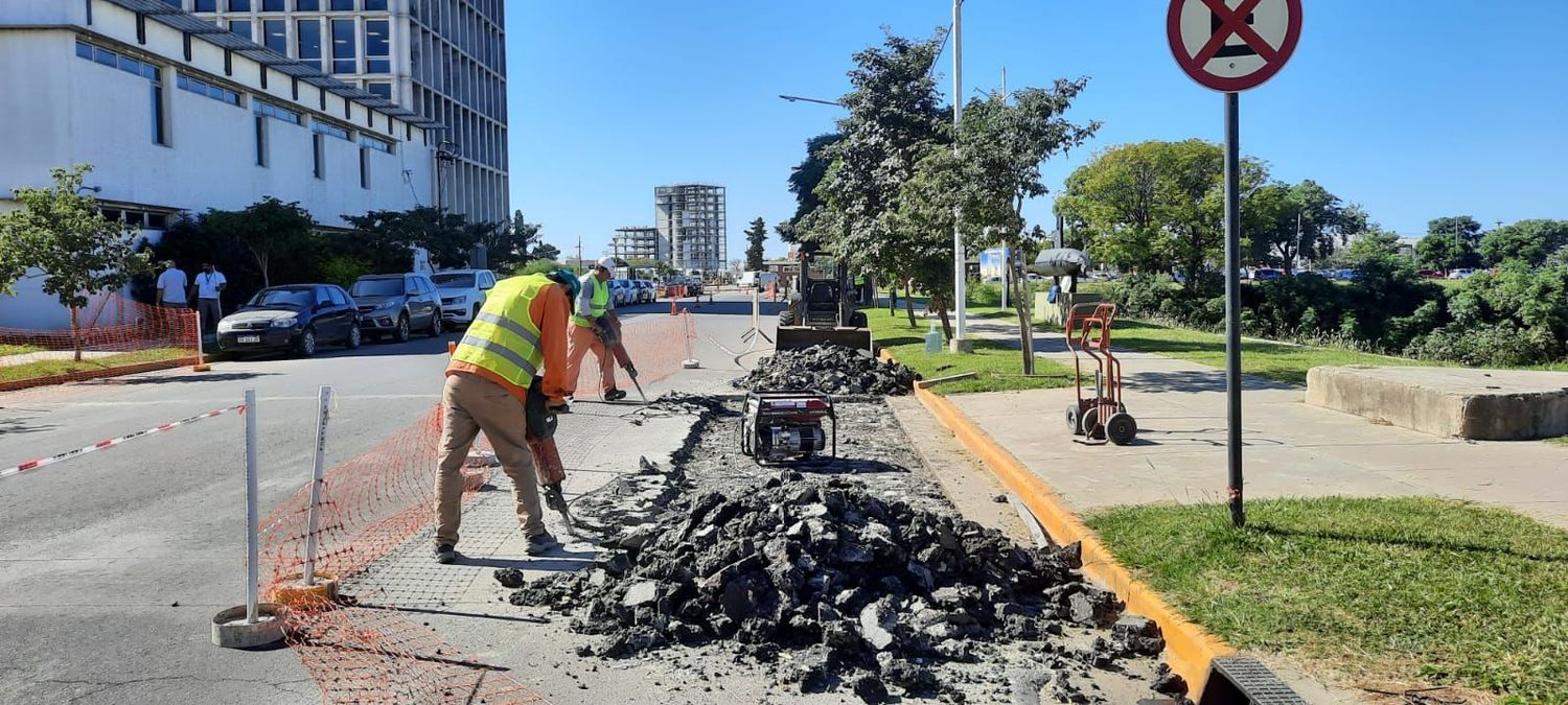 Puerto de Santa Fe: renovación urbana de calle Francisco Miguens