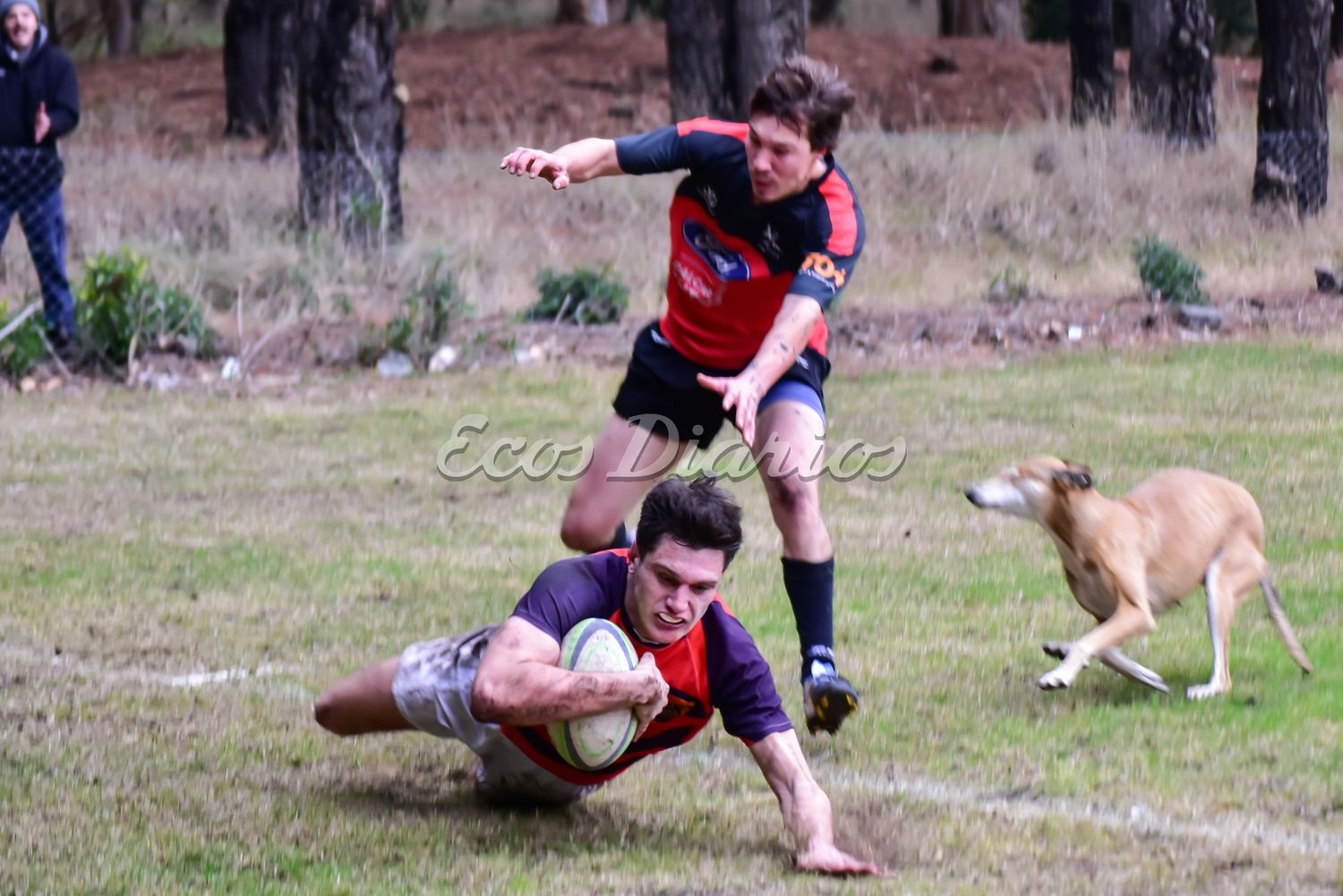 Tiburones, Náutico y un "amigo" que vivió el partido de cerca