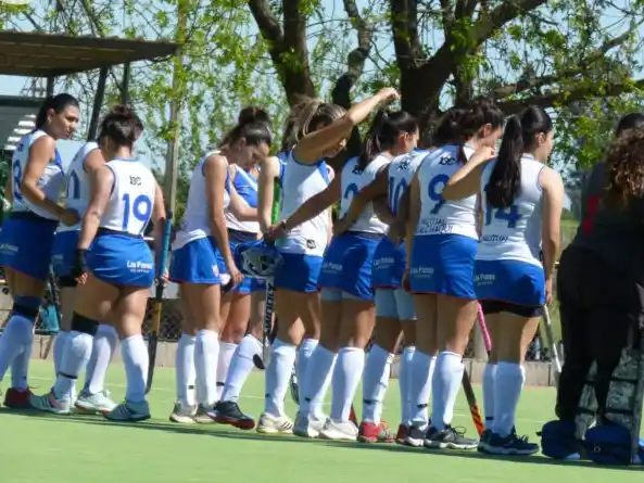 Las Pumas de Calchaquí