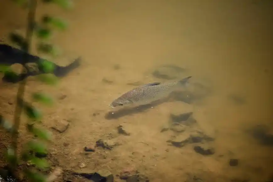 Jardín Florida se suma al sistema de recursos naturales de Santa Fe