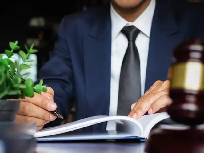 Día Internacional del Abogado.