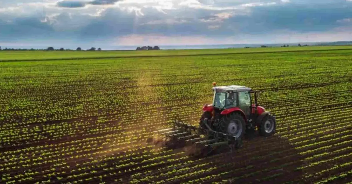 Cayó más de un 30% la liquidación del agro: el campo especula un cambio de régimen cambiario