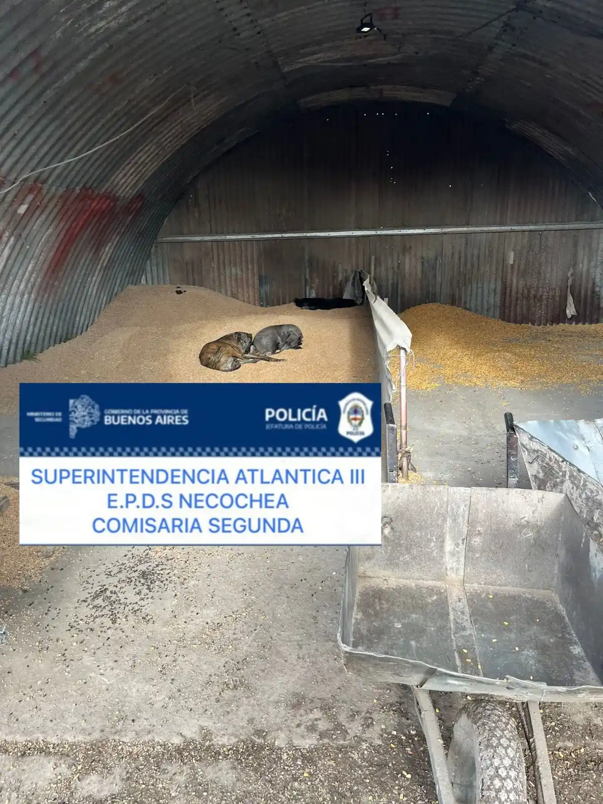 Depósito de cereales