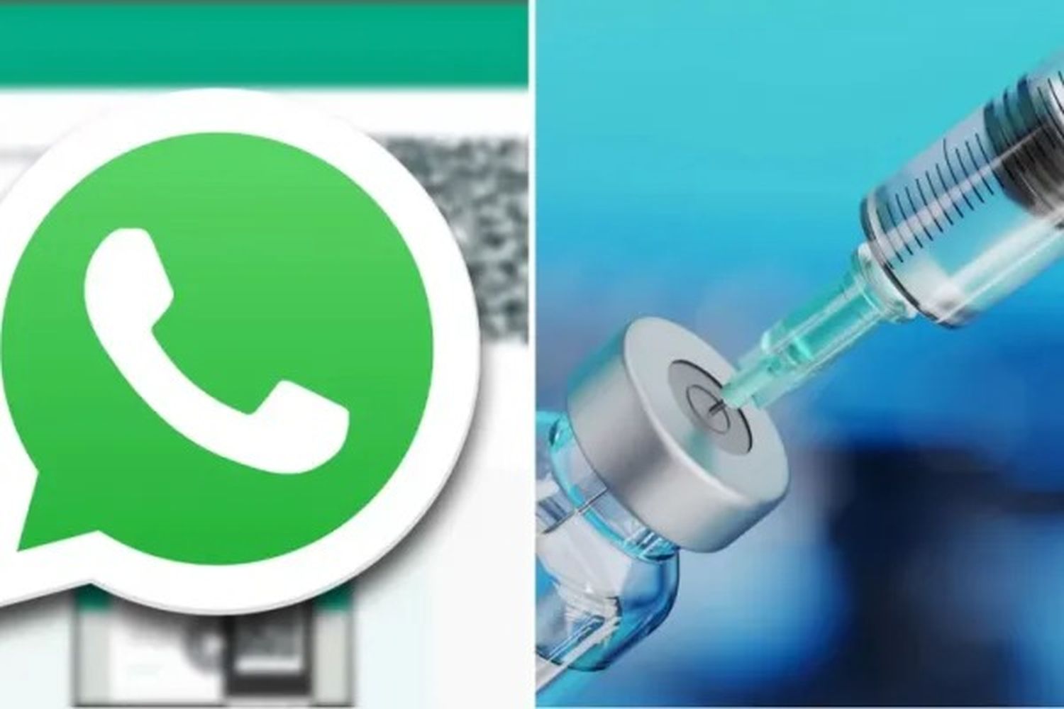 Advierten por estafas en WhatsApp sobre la vacunación contra el dengue