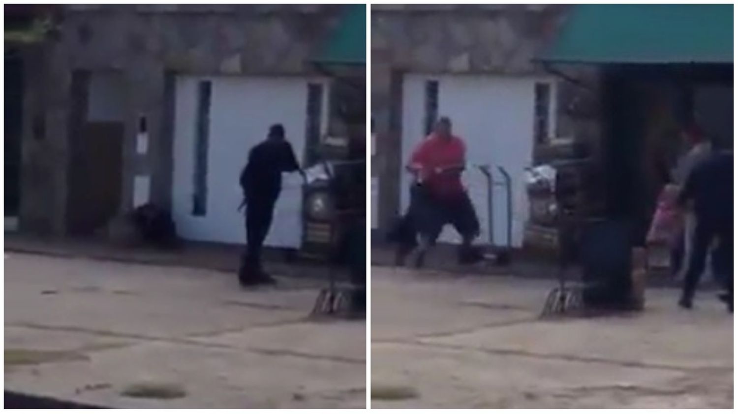 Video: El feroz ataque de un pitbull que mató a 2 perros e hirió a otros 3 en La Plata