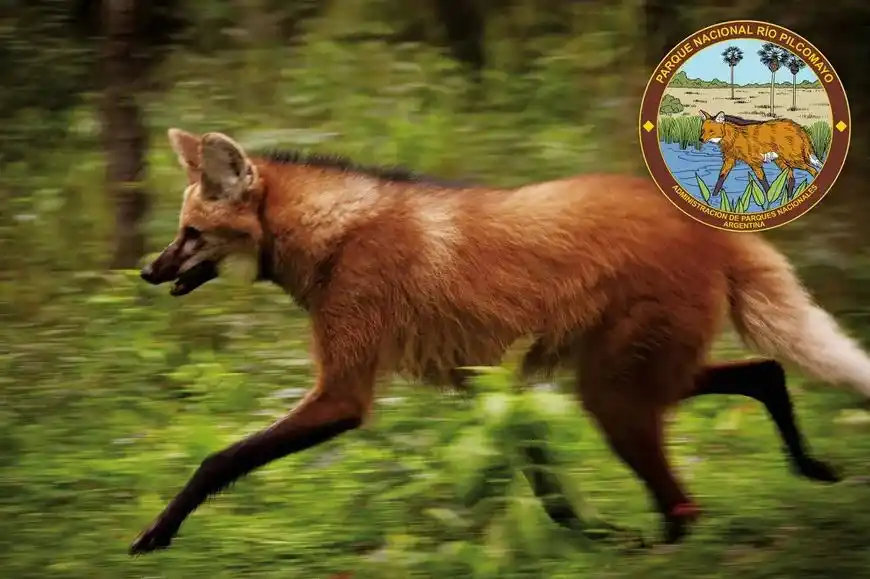 islas millonario - 3