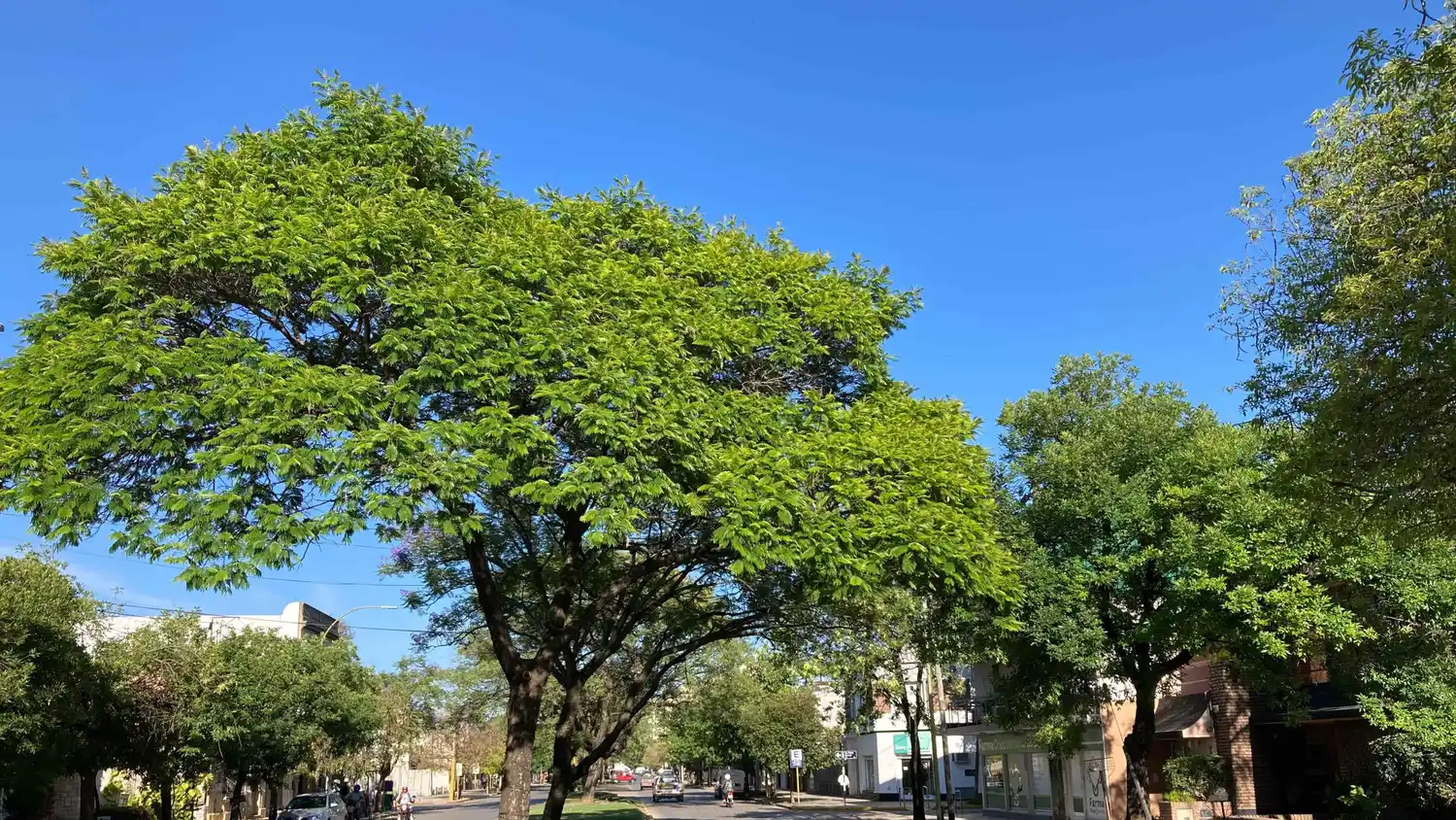 Miércoles soleado y cálido con vientos del norte