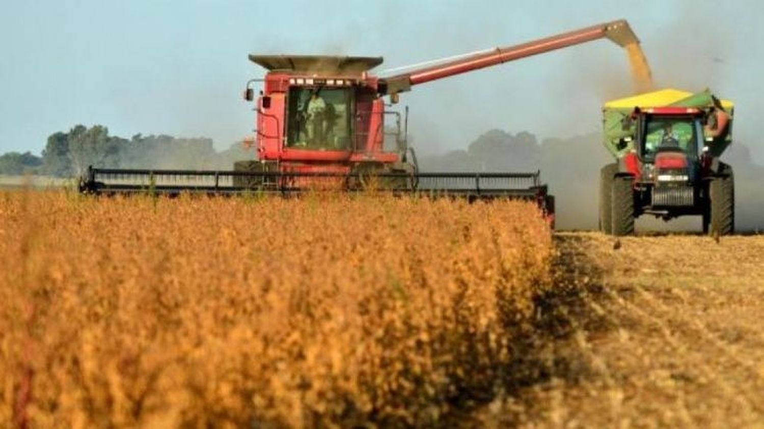 Comienzan a resonar fuerte dentro del macrismo el reclamo para volver a las retenciones al campo