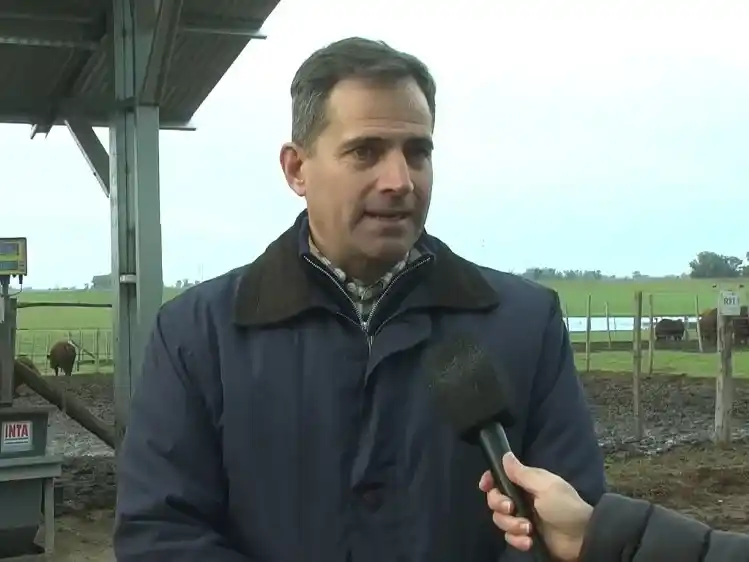 Manuel Chiappe, subsecretario de Producción Agropecuaria y Forestal.
