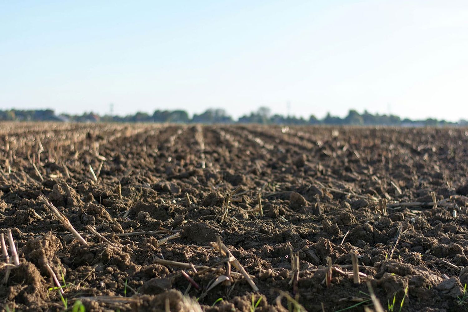 Los suelos entrerrianos se degradan cada año con grandes costos ambientales y económicos