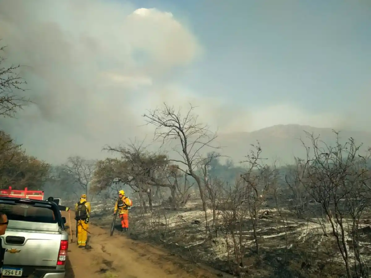 Aseguran que los incendios en La Población son intencionales