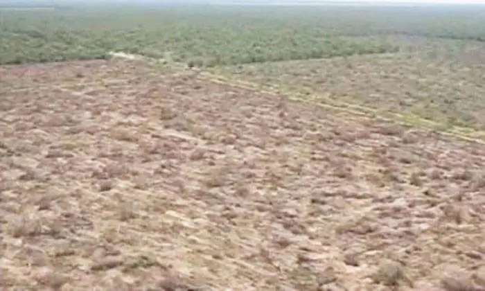 Chaco: multarán a desmontadores de Pampa del Infierno