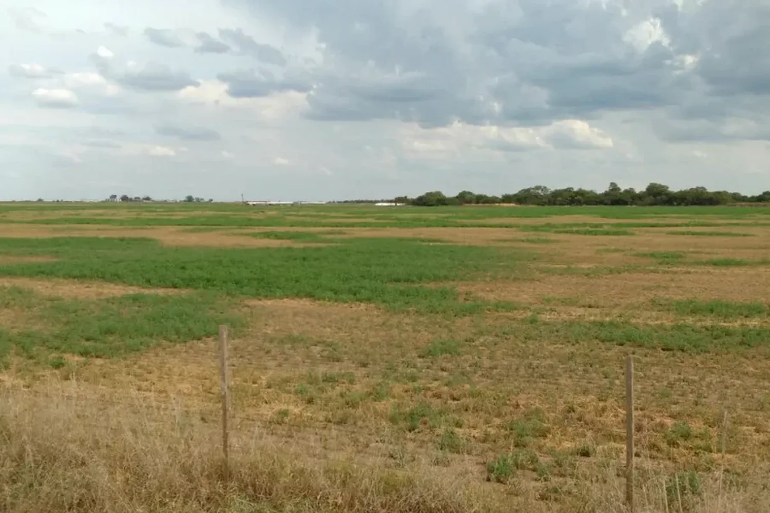 LLega La Niña y el campo está en alerta