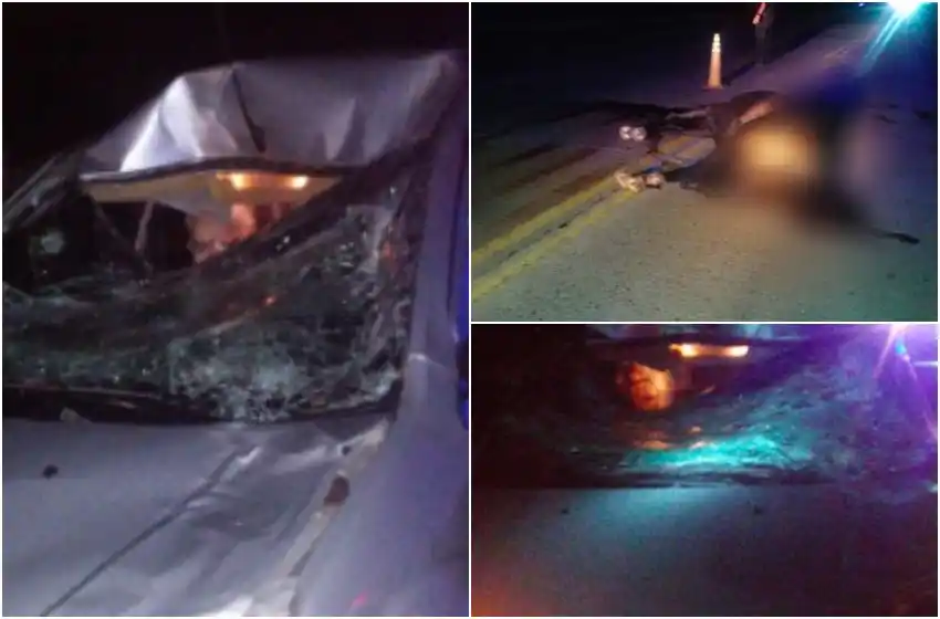 Fuerte choque en Ricardone: un automóvil embistió a un caballo en la ruta AO 12