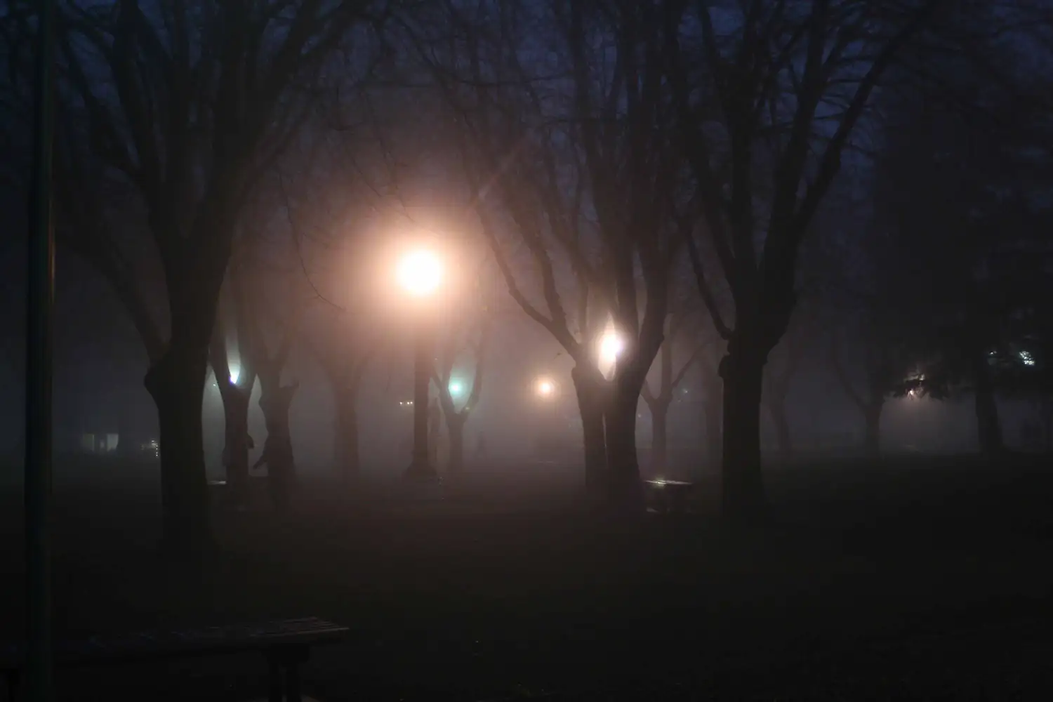 La niebla