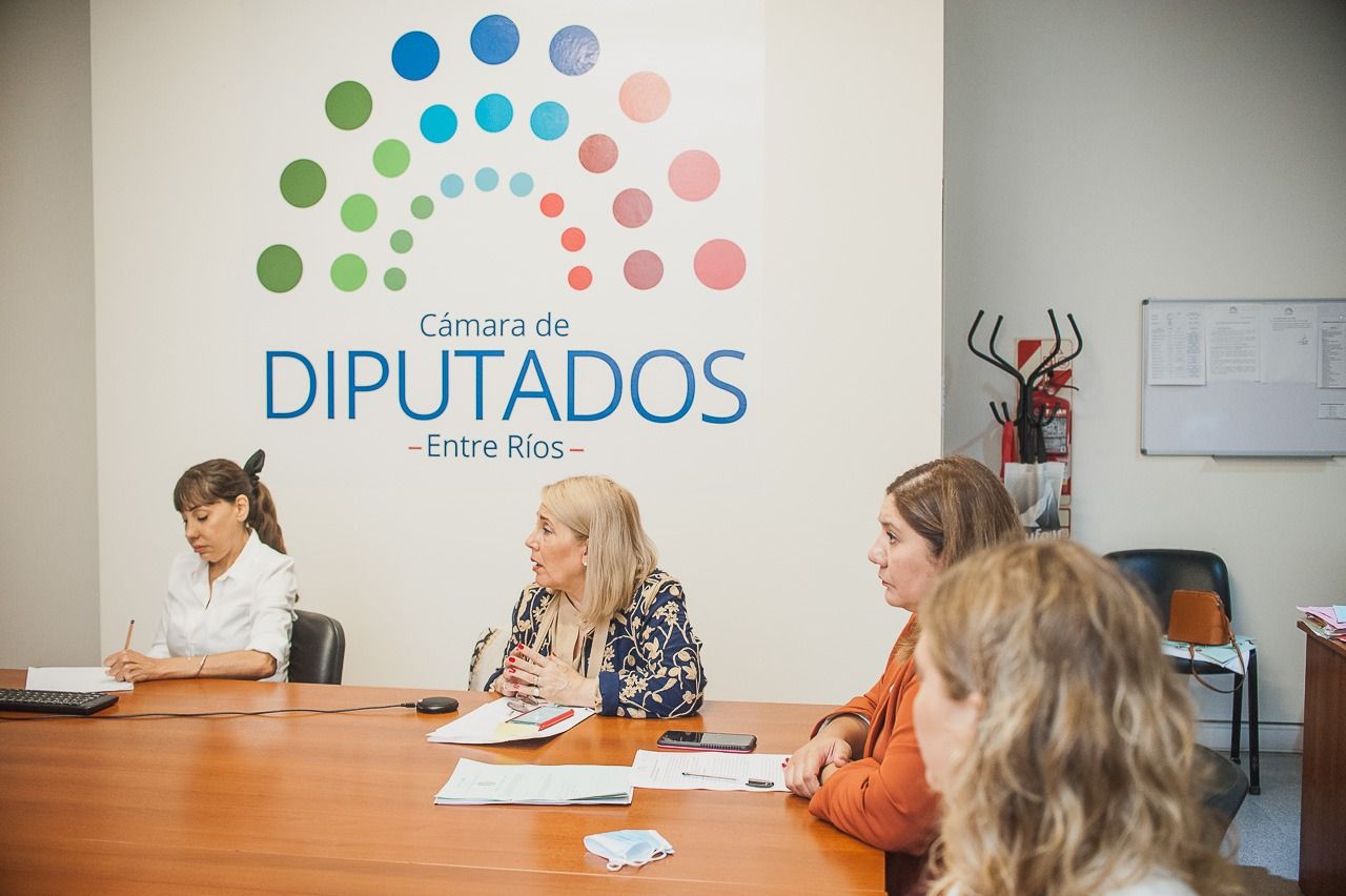 Endometriosis: diputados de la oposición presentaron un dictamen de minoría