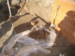 Hallazgo de restos en Punta Alta: Aguardan la llegada del Equipo Argentino de Antropología