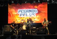 Miles de personas disfrutaron de una nueva edición del Roca Rock en el Paseo de los Españoles