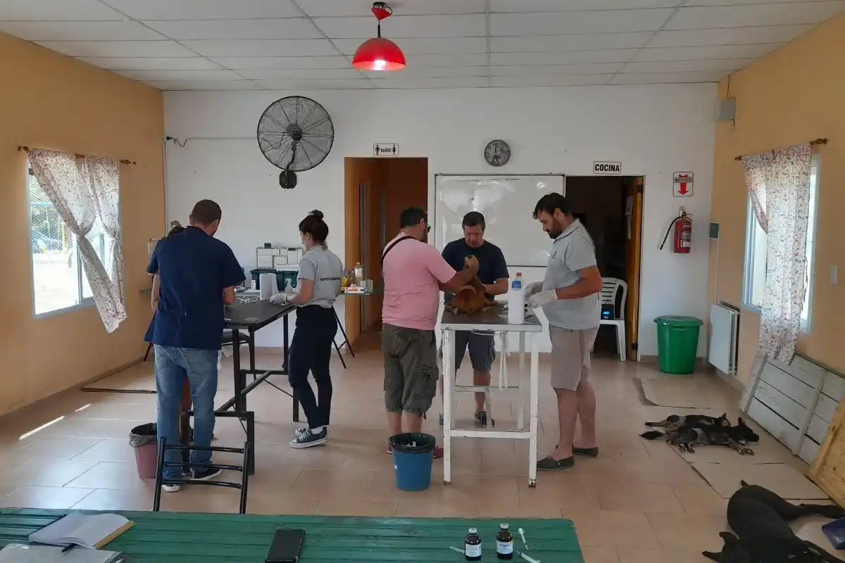 Veterinaria Municipal dio a conocer las nuevas fechas de castraciones