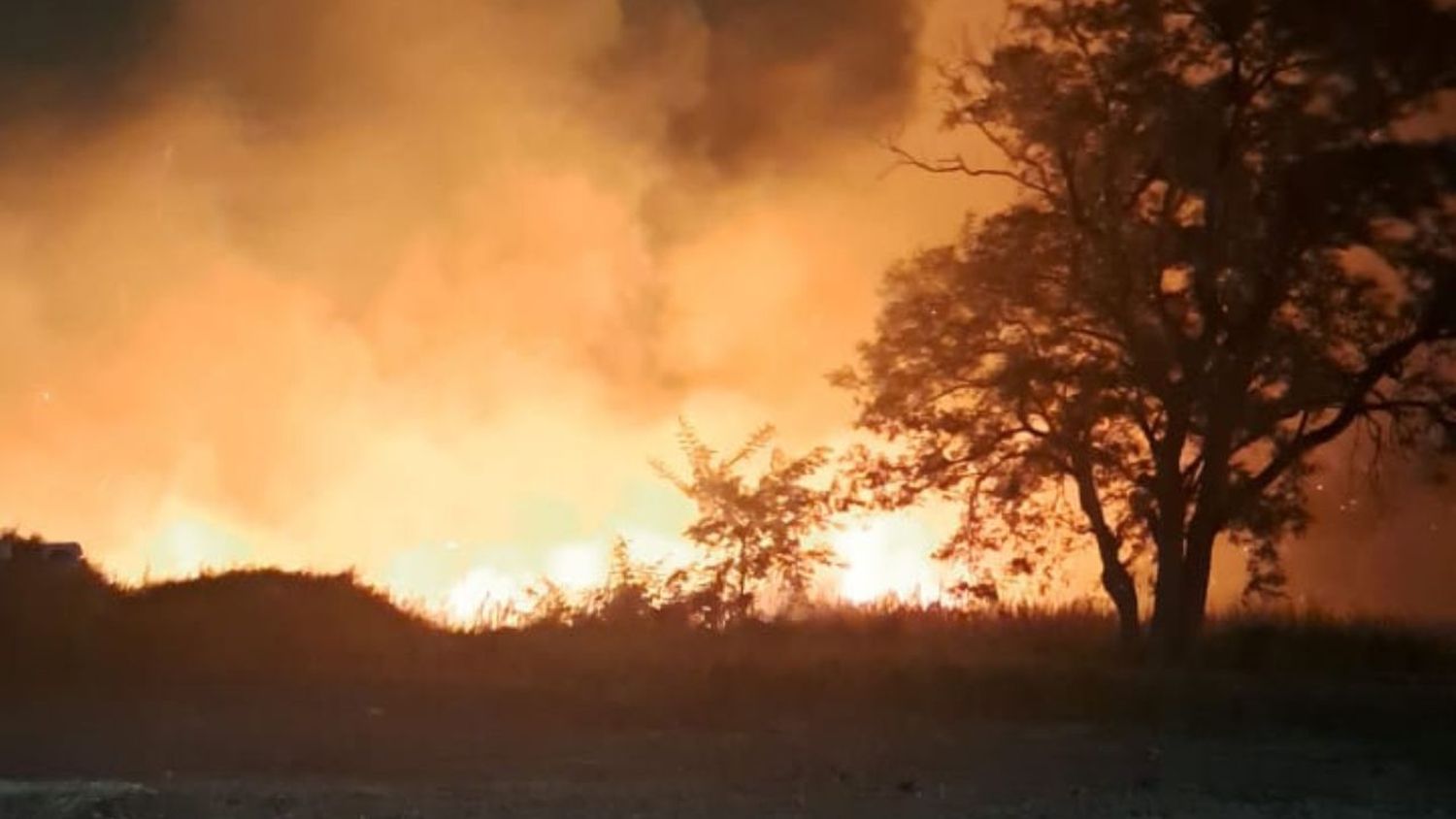 Incendio de pastizales en Avellaneda