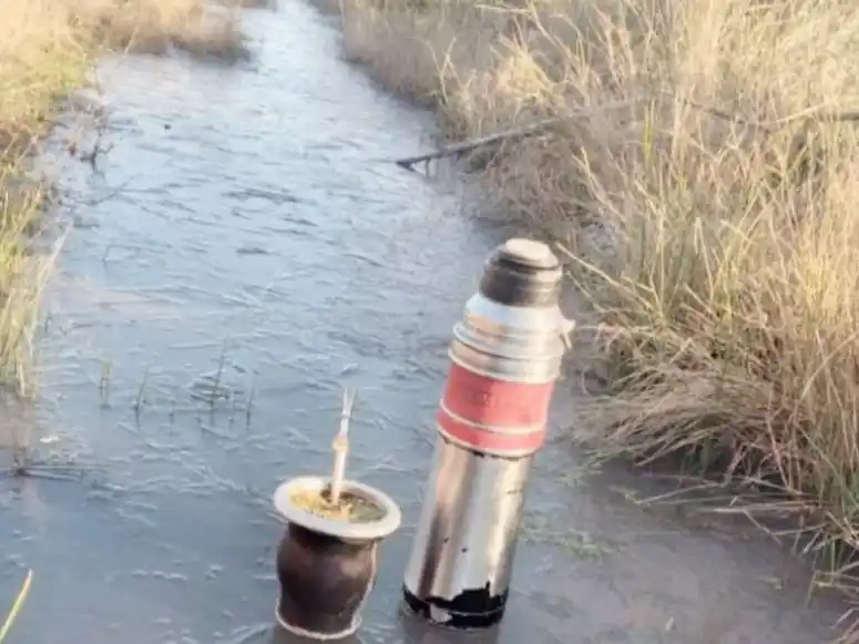 En días nada más, las heladas comenzarán a mostrar su rigor