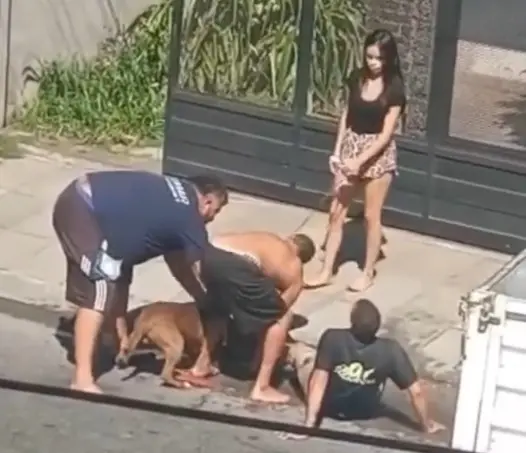 Video: Pitbull atacó brutalmente a joven en Hurlingham