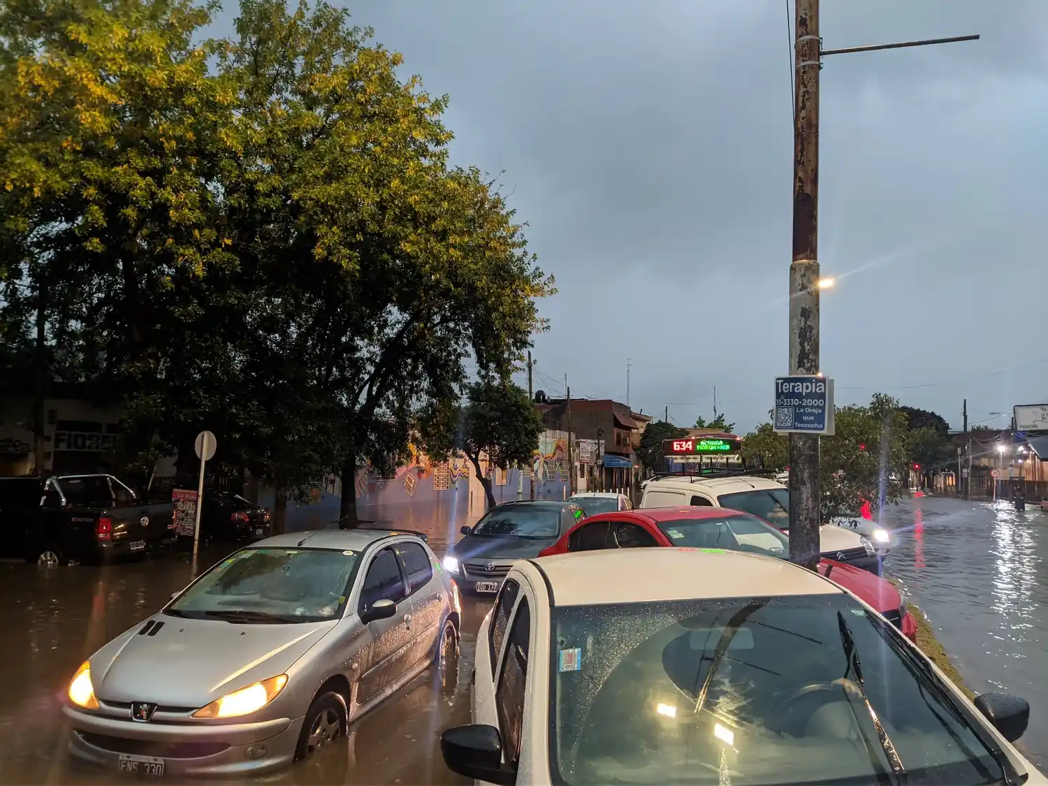 Alerta en toda la provincia por fuertes tormentas: calles intransitables, y postes y árboles caídos
