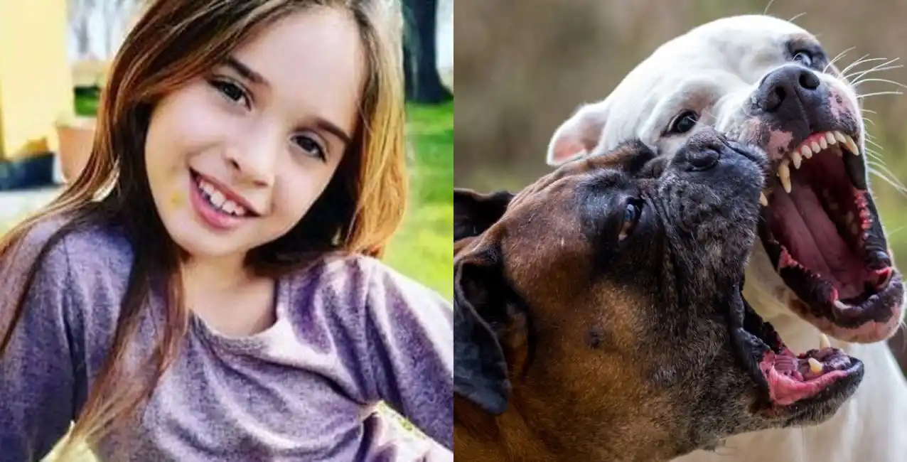 Una niña de 10 años fue atacada por una jauría de perros y su estado de salud es delicado