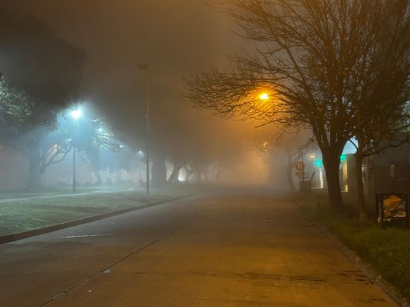 Otro amanecer cubierto con neblina y mucha humedad en Rafaela