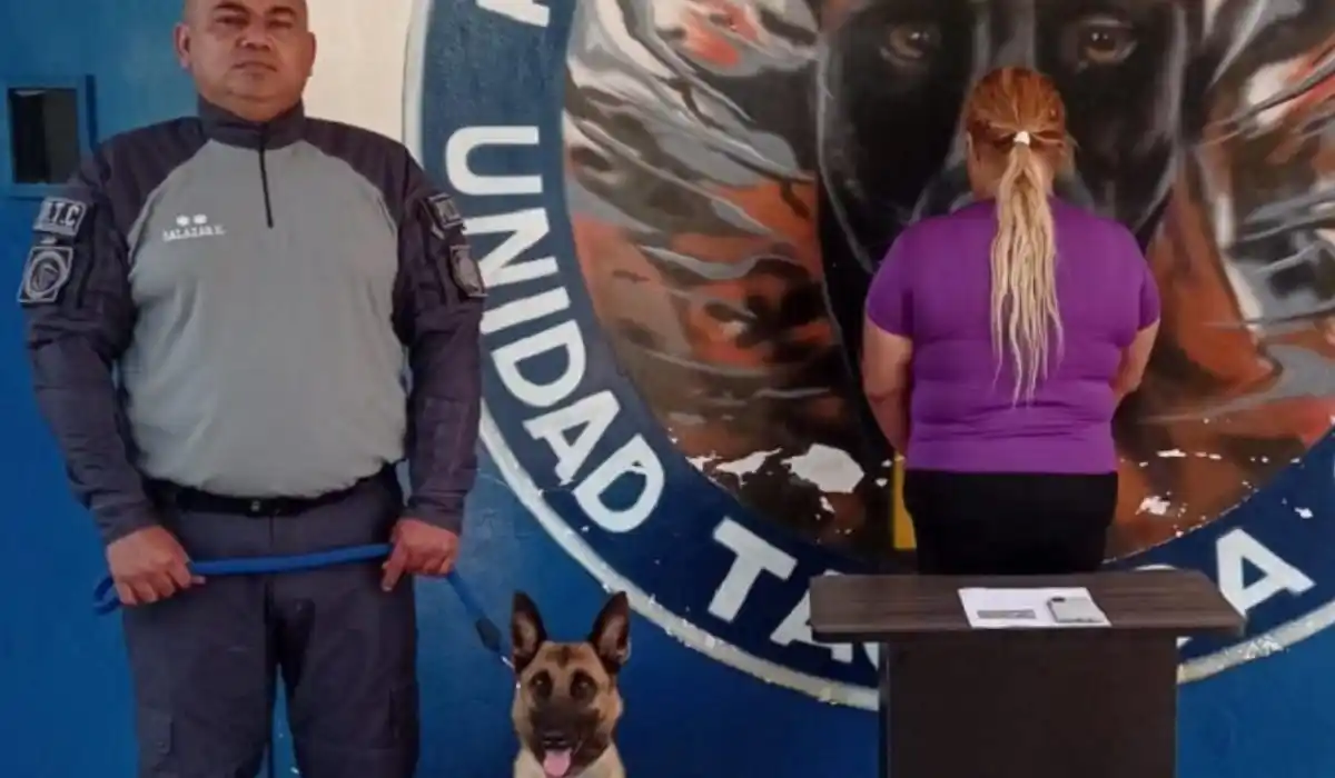 ¡ESTO ES «CONVIVENCIA»! La detienen por robar videos íntimos de su vecina y difundirlos por WhatsApp