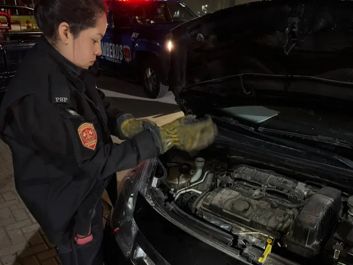 Bomberos rescataron a un gato que quedó atrapado en el motor de un auto en Rafaela
