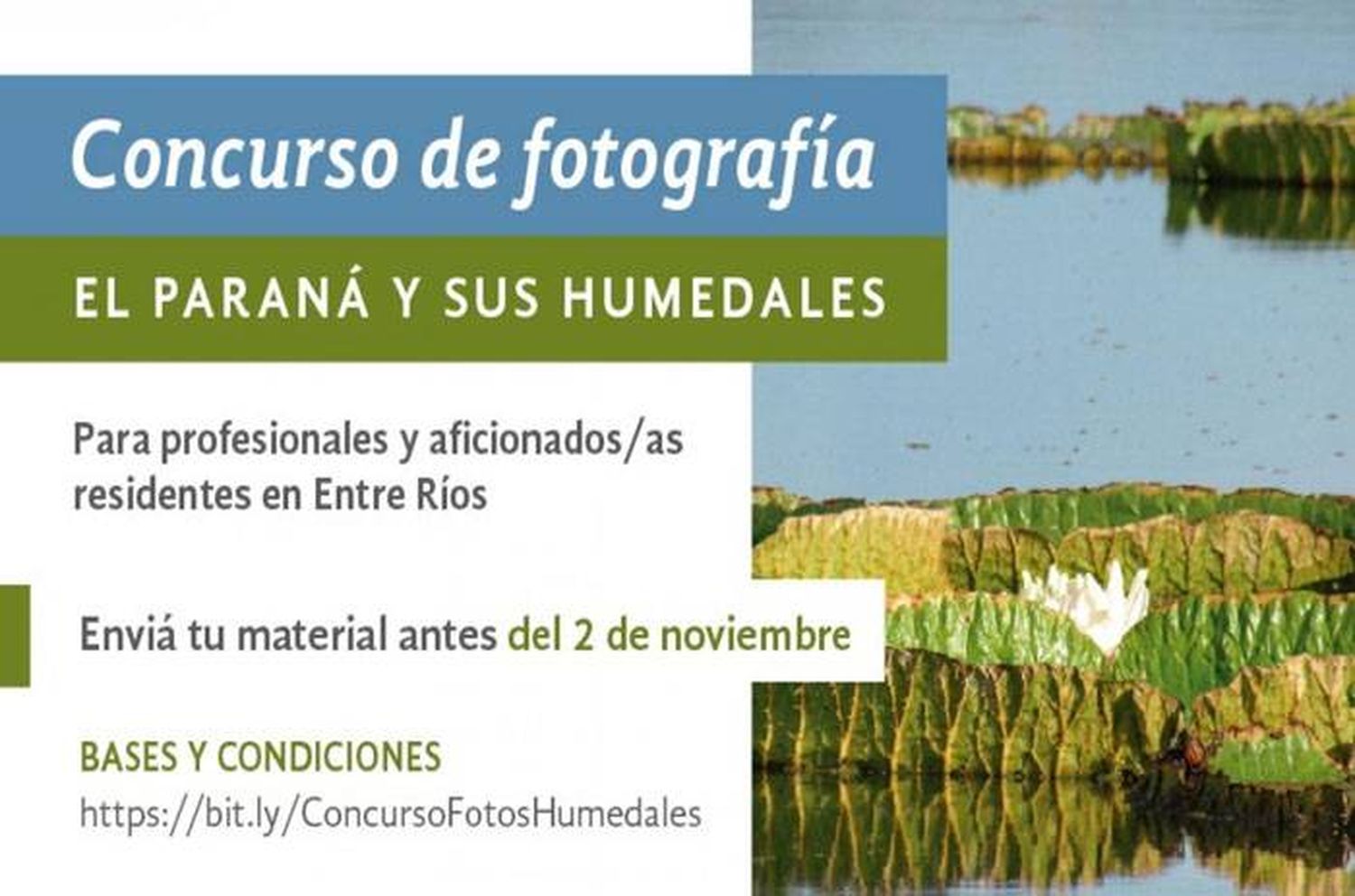 �altimos días para participar  del concurso fotográfico  �SParaná y sus humedales⬝