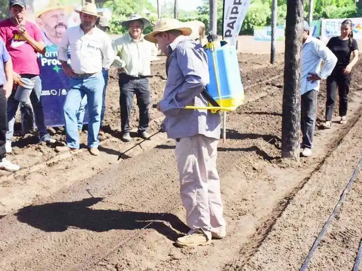 Organizaron capacitación para pequeños
productores sobre manejo de hortalizas de hoja