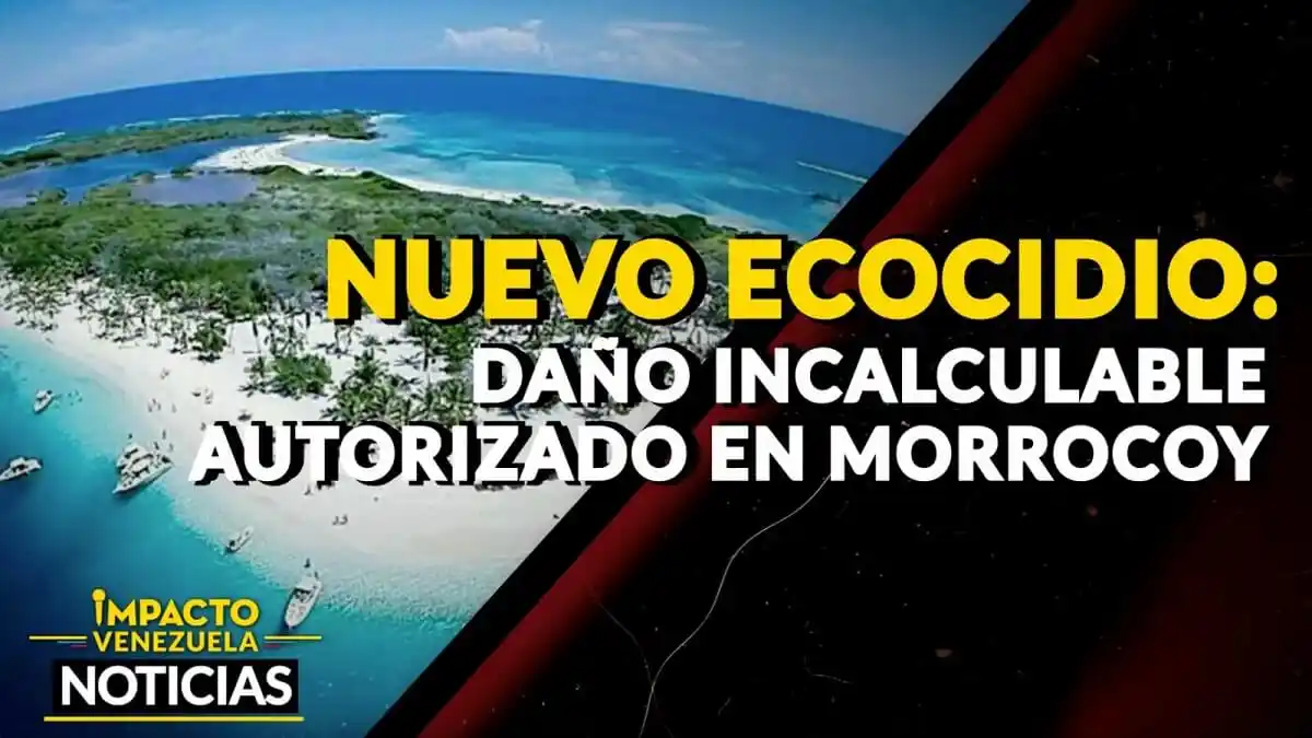 NUEVO ECOCIDIO ¿Daño incalculable autorizado en Morrocoy? – VIDEO