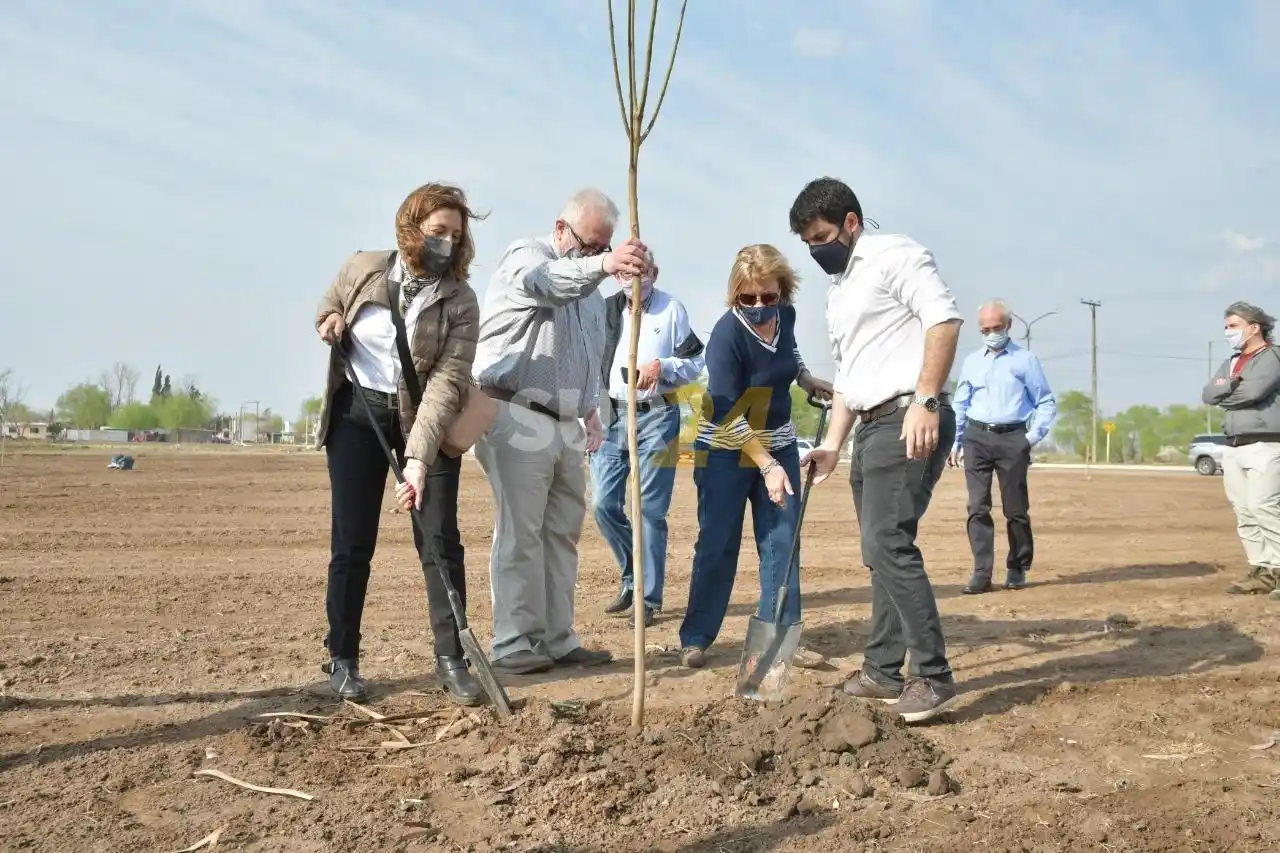 Forestación del Área Recreativa Norte a partir de iniciativa conjunta del Municipio con instituciones y empresas