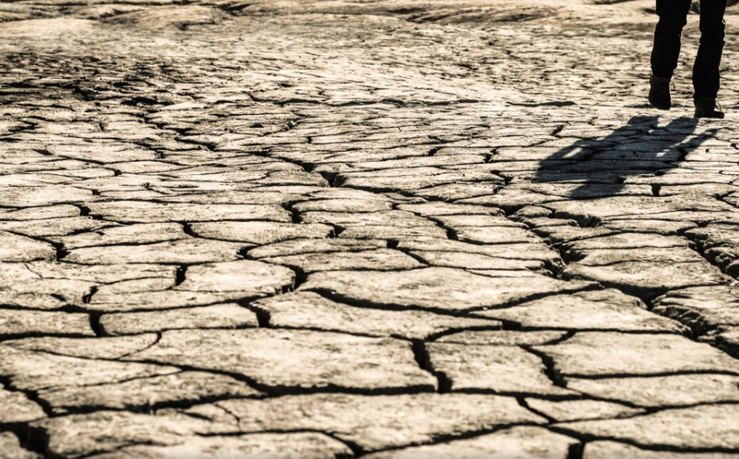 El cambio climático golpea el bolsillo