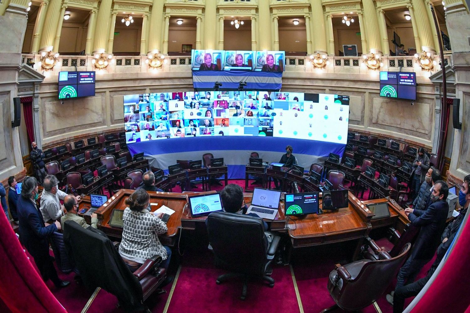 Avanzó en el Senado el proyecto sobre fibrosis quística