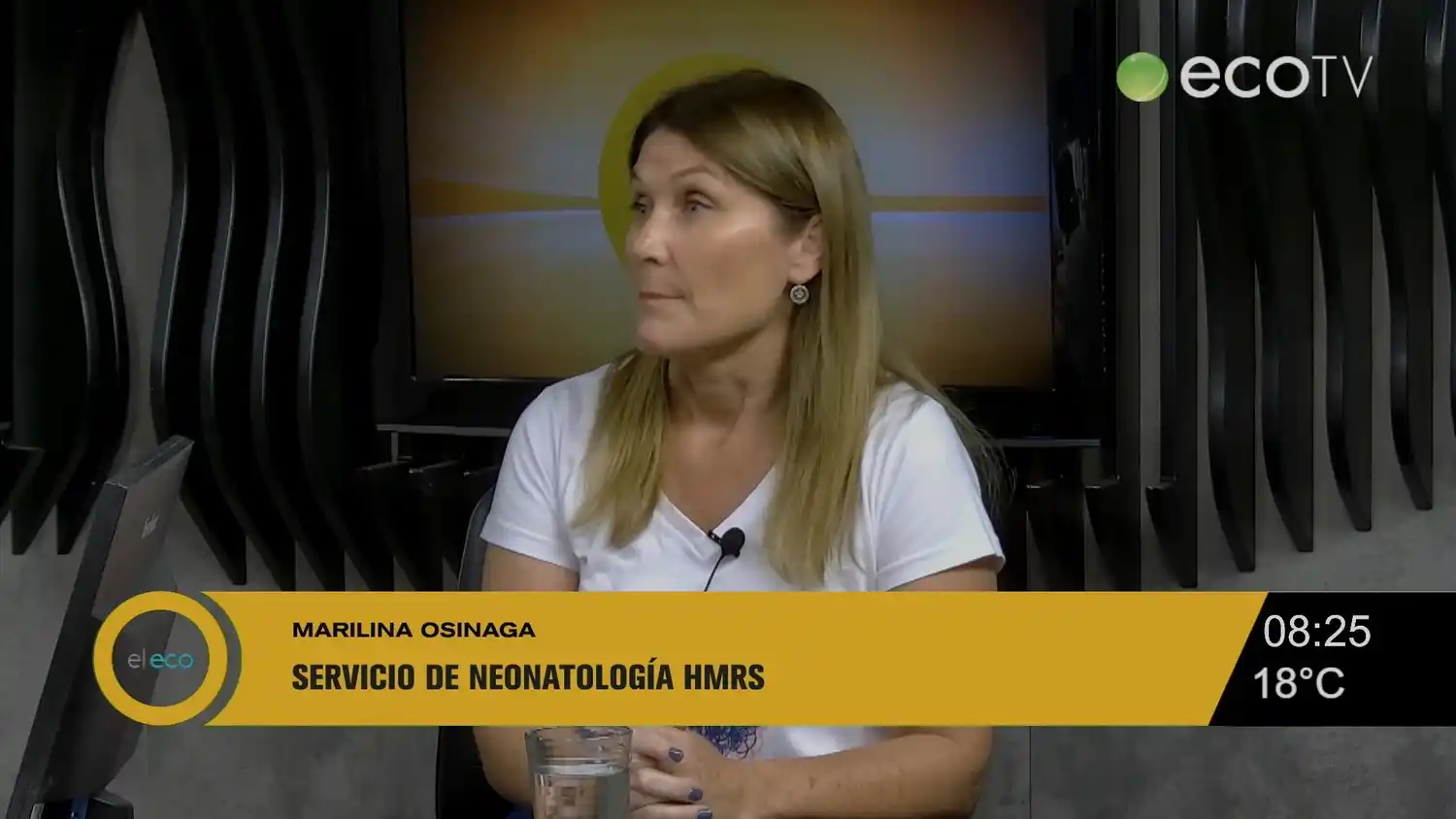 Marilina Osinaga, jefa del Servicio de neonatología del Hospital Santamarina.