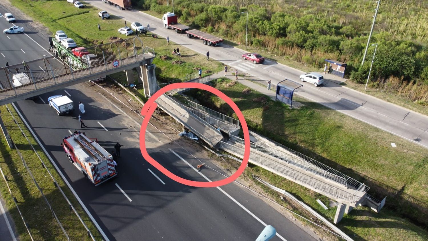 Tragedia en Ruta 9: Dos vecinos de Campana murieron aplastados tras el vuelco de un camión que se dirigía a Lanús
