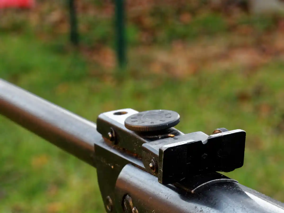Josefina: secuestran rifle que habría sido utilizado en un caso de abuso